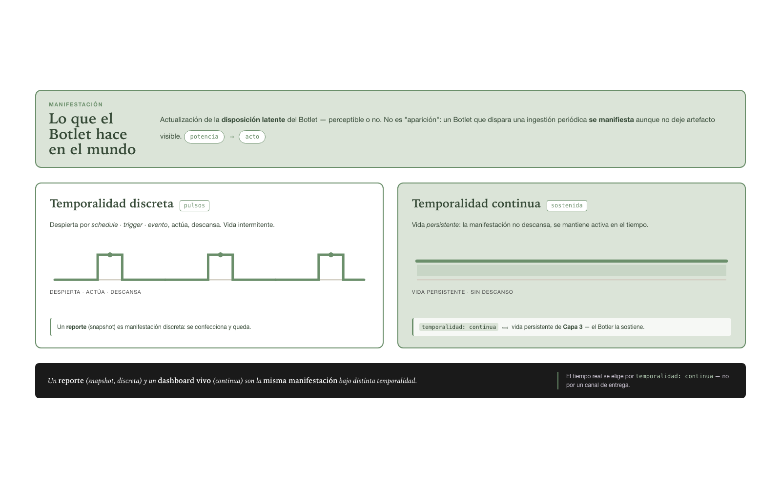 Manifestation and temporality of the Botlet — discrete vs continuous